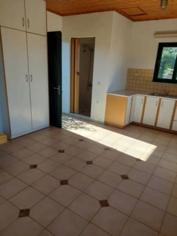 Studio/Γκαρσονιέρα για ενοικίαση Αραχωβίτικα (Ρίο) - Photo 5