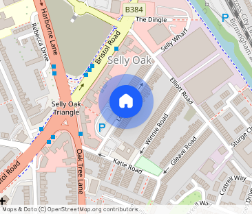 Lottie Road Selly Oak - Photo 1