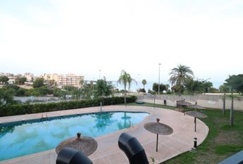 Mil Palmeras Alquiler Hasta Agosto