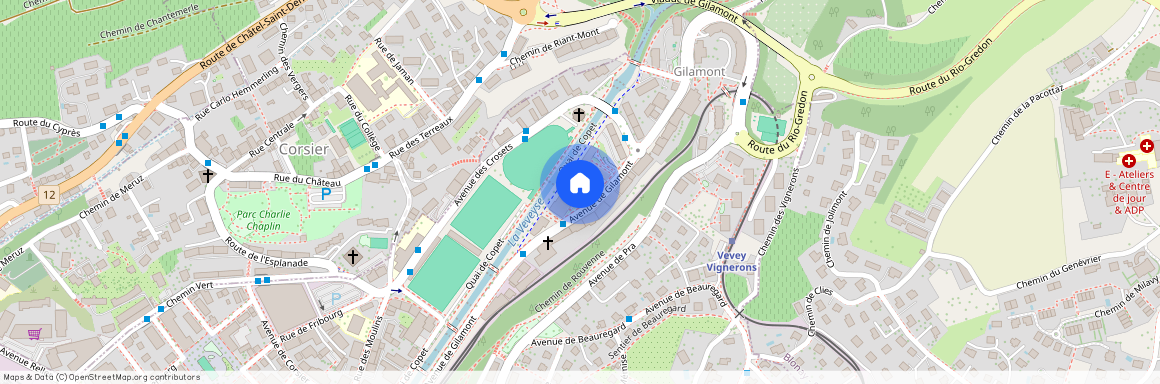 Avenue de Gilamont 17 - C, 1800 Vevey