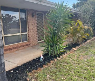 Huge property in quiet street. - Photo 2