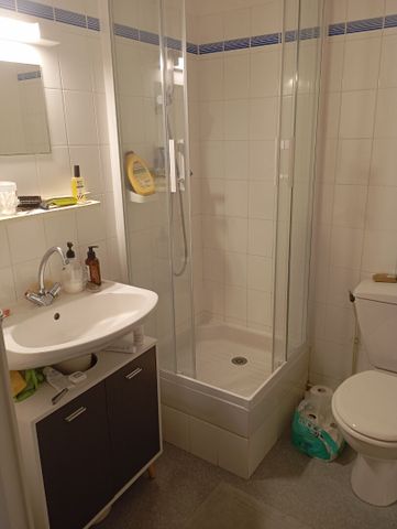 Location Appartement 1 pièce 18m² - Photo 2