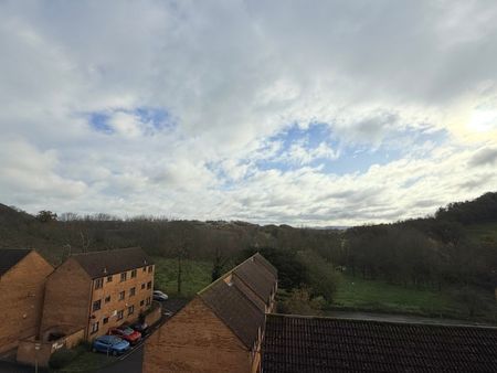 Newton Road, Yeovil, Somerset - Photo 5