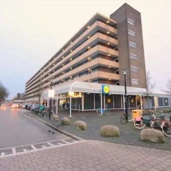 Marco Pololaan, 3526 Utrecht, Nederland - Foto 2