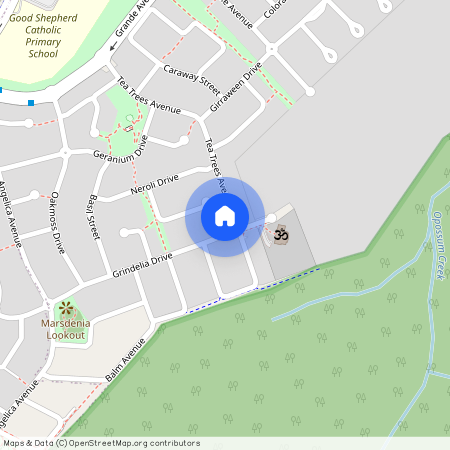 55 Tea Tree Avenue, Qld 4300, Springfield Lakes