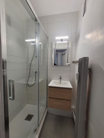 Location Appartement 1 pièce 26m² STRASBOURG 67000 - Photo 5