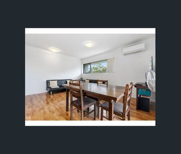 8 Starling Starling Street, Buderim, Qld 4556 - Photo 4