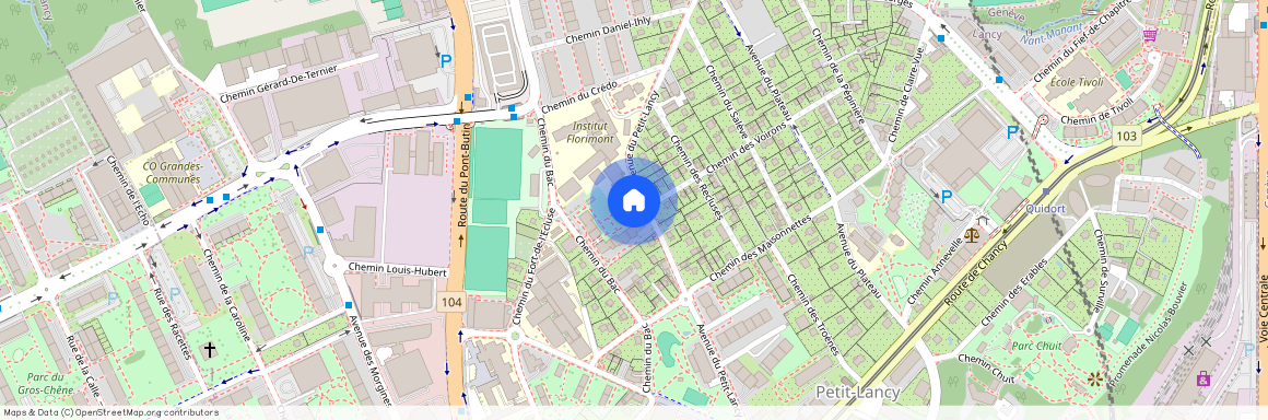 31B, avenue du Petit-Lancy, 1213 Petit-Lancy