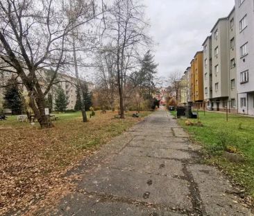 Pronájem bytu 2+kk (42 m - Photo 3