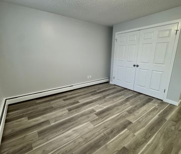 AMAZING newly reno'd Apartment in Lacombe! CATS OK! - Photo 4