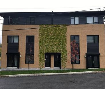 CONDO 4 1-2 NIVEAU TERRASSE + CABANON - Photo 3