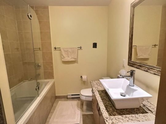 Appartement à louer - Montréal (Ville-Marie) (Centre Ouest) - Photo 1