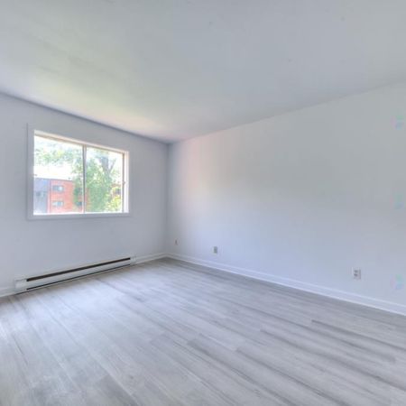 Appartement entièrement rénové - Photo 3