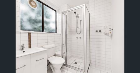 Why Settle for One Courtyard When You Can Have Two? - Photo 4