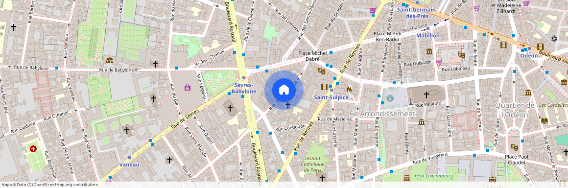 Rue du Cherche Midi entre rue de Sevres et Boulevard Raspail 75006 Paris (6e arrondissement)