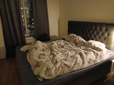 Stellan Mörners gata, Halmstad - Foto 3