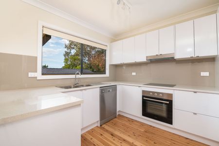 11 Regatta Crescent, Port Macquarie NSW 2444 - House For Rent | Domain - Photo 5
