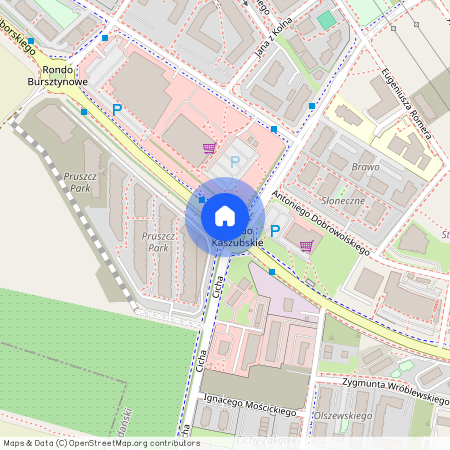 ul. prof. Mariana Raciborskiego, Pruszcz Gdański, gdański, pomorskie