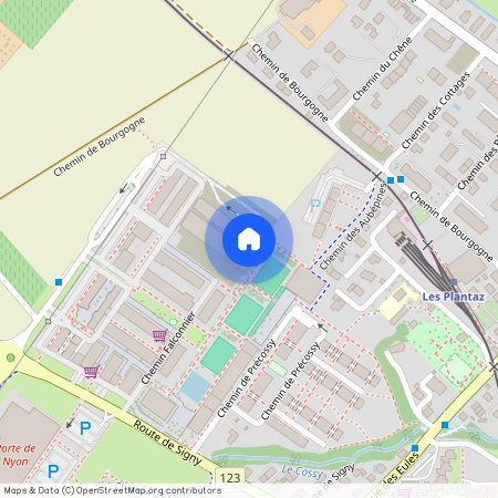 Chemin Falconnier 18 (3A.2), 1260 Nyon