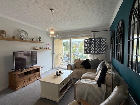 Jesse Hughes Court, Bath - Photo 2