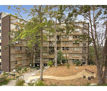 509/22 Doris Street, North Sydney NSW 2060 - Apartment For Rent | D... - Photo 5