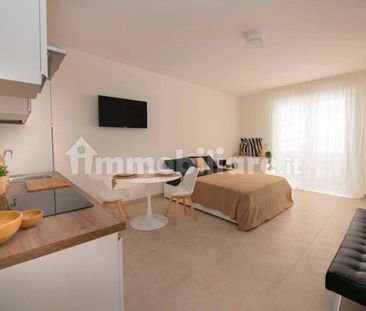 Monolocale viale Giangiorgio Trissino 99, Stadio - Borgo Casale, Vi... - Foto 2
