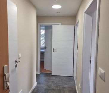 Frisch sanierte Dreiraumwohnung in schöner Wohnlage! - Photo 4