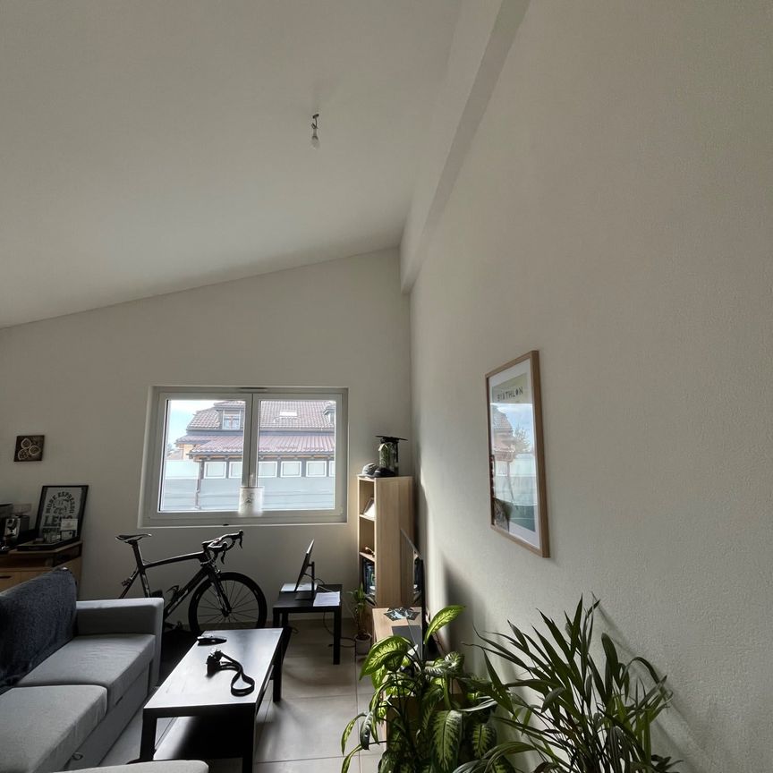 2 Zimmer, 60 m² - Foto 1