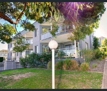 Welcome to this beautifully presented, elevated apartment on Shacke... - Photo 3