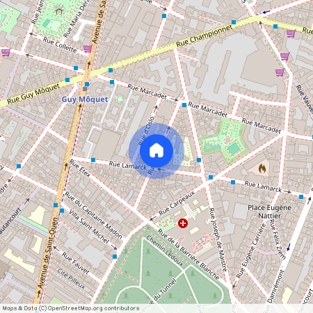 Rue Coysevox, Francja, Paris