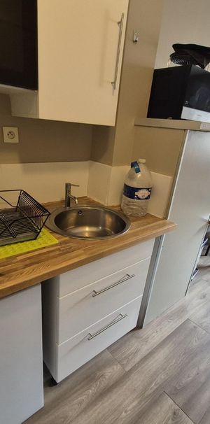 Location Appartement 1 pièce 17m² LILLE 59000 - Photo 1