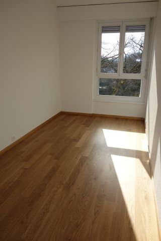 Quartier de la Gradelle - Chêne-Bougeries - Photo 5