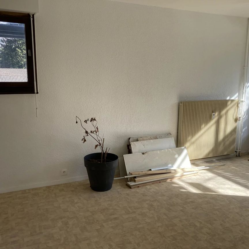 Location Appartement 2 pièces 55m² SALLANCHES 74700 - Photo 1