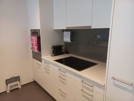 3-ROOM APARTMENT IN ALPNACHSTAD (OW), FURNISHED, TEMPORARY - Photo 3