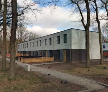 Maison mitoyenne Valtherzandweg 45, Emmen Emmermeer - À Louer - Photo 1