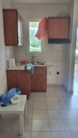 Ενοικίαση κατοικίας, 30 τ.μ., Πάτρα, 280 € - Photo 3