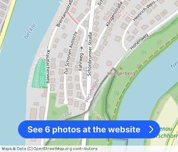 Neu renovierte 2 Zimmer-Singlewohnung in Hirschhorn! - Photo 1