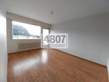 Location appartement 1 pièce 25.6 m² à Annemasse (74100) - Photo 2