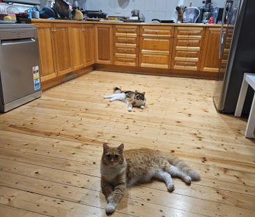 Mount Gravatt East - Photo 1