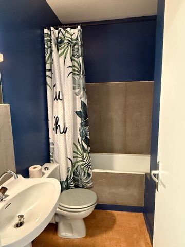 Location Appartement 1 pièce 29m² - Photo 5