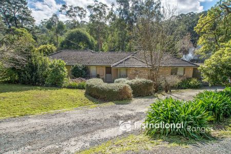 FAMILY FRIENDLY HOME OPPOSITE BELGRAVE LAKE PARK - Photo 4