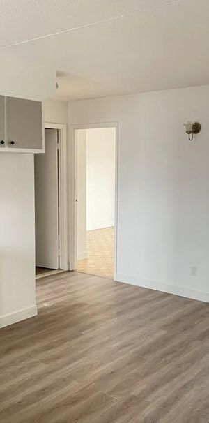 Grand 4½ rénové à louer - Photo 1
