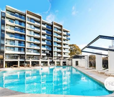 89/7 Irving Street, Phillip ACT 2606 - Apartment For Rent - $620 | ... - Photo 1