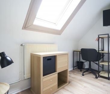 Garibaldi Roommate 5 Bedrooms at Lille - Photo 4