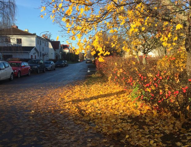 Sidsjövägen, Sundsvall - Foto 1