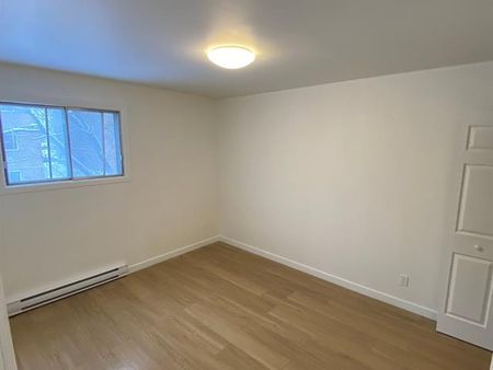 345 Rue de Dreux - Photo 3