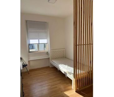 Rua Dom Frei Nuno de Goyos, Leça do Balio, Porto 4465 - Photo 1