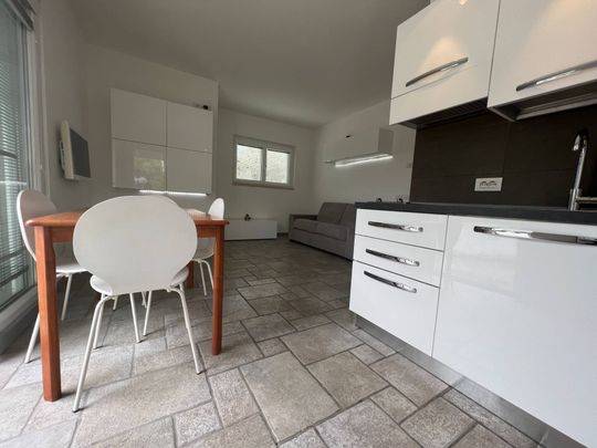 Appartamento in Affitto - Photo 1