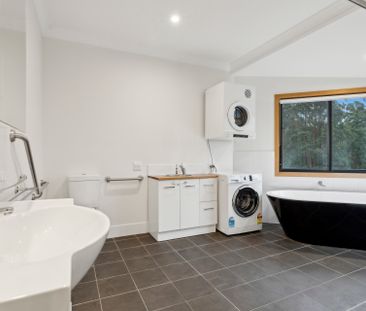 51b Jacaranda Drive, Upper Orara NSW 2450 - House For Rent | Domain - Photo 4