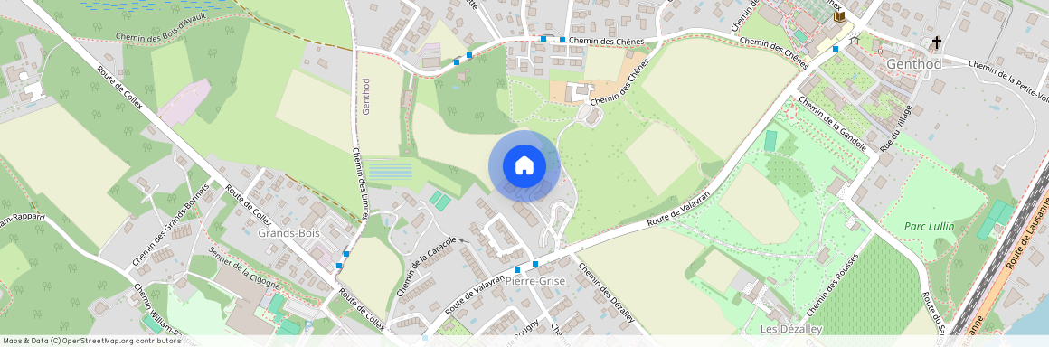 Chemin de la Dîme 11, 1294 - Genthod, Suisse